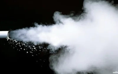 Consideraciones sobre la calidad del vapor