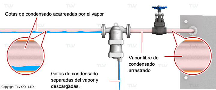 Un separador elimina mecánicamente el condensado arrastrado por el flujo de vapor.